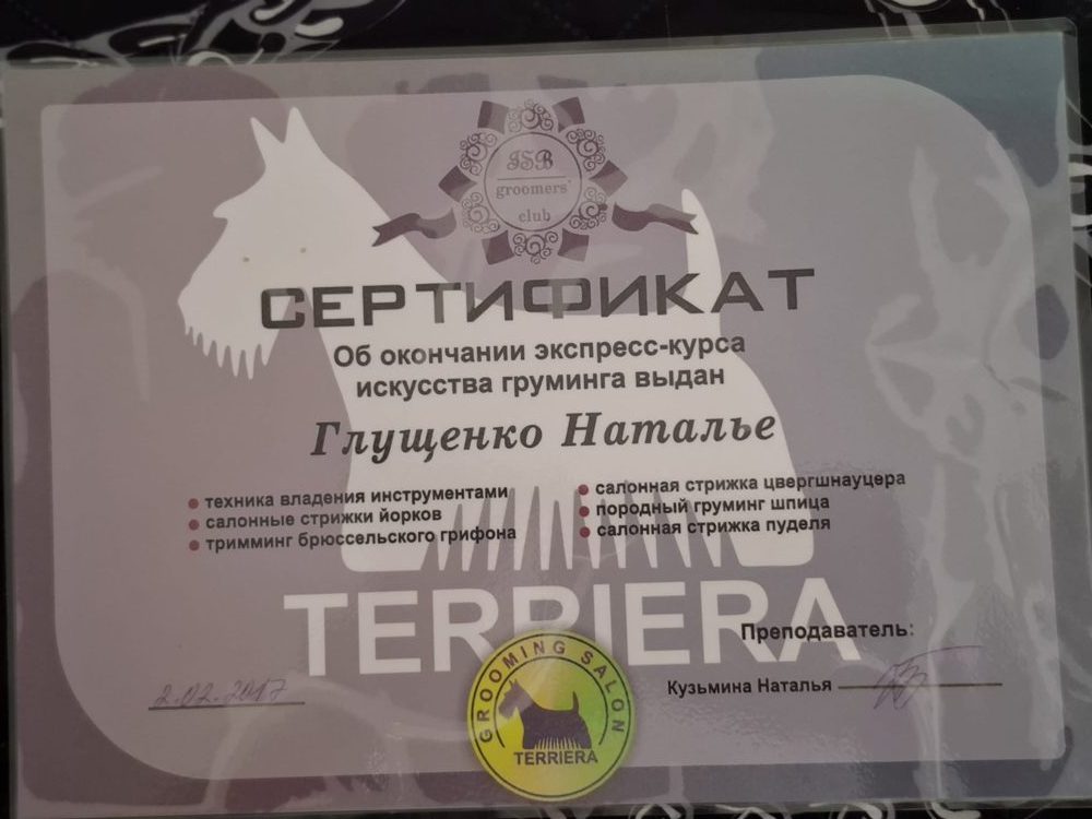 Zertifikat Trimmkurs Terrier